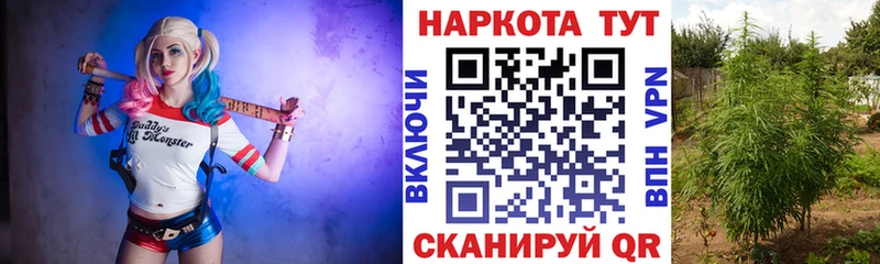 Названия наркотиков Красногорск Амфетамин  Бошки Шишки  A PVP  Меф мяу мяу  Псилоцибиновые грибы  Гашиш  Метамфетамин  Cocaine 
