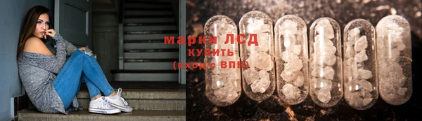 гидропоника Заводоуковск