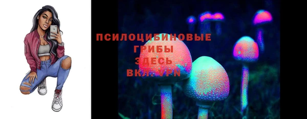 прущая мука Каменногорск