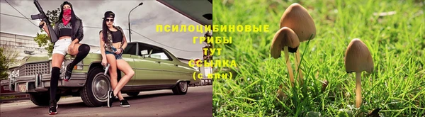 мяу мяу мука Михайловск