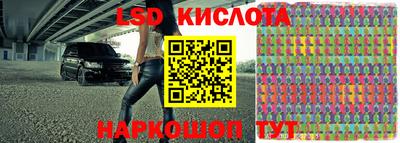 индика Гусев