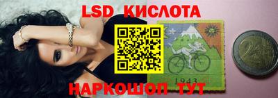 индика Гусев