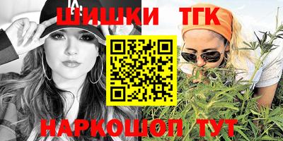 индика Гусев