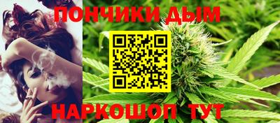 индика Гусев