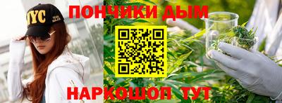 индика Гусев