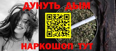 индика Гусев