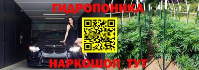 индика Гусев