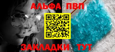 индика Гусев