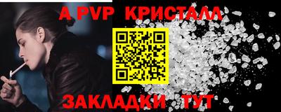 индика Гусев
