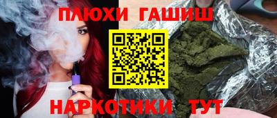 индика Гусев