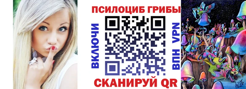 OMG ссылка  Красногорск  Псилоцибиновые грибы Cubensis 