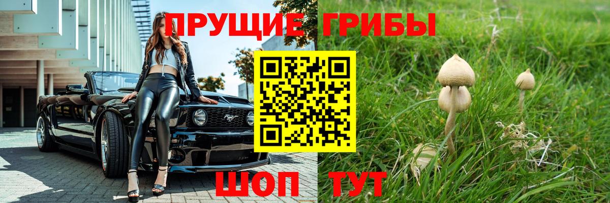 Псилоцибиновые грибы мухоморы  купить наркотик  Красногорск  Вход с VPN 